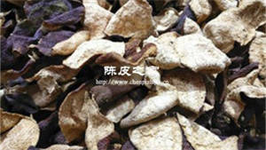 买陈皮是新的好还是陈的好