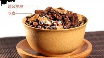 蒲公英根与陈皮泡水喝的功效与作用