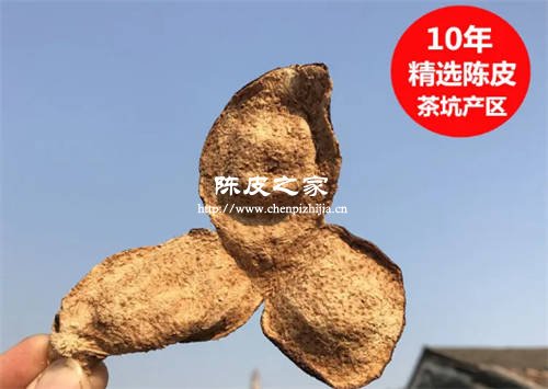 老人可以食用10年陈皮吗