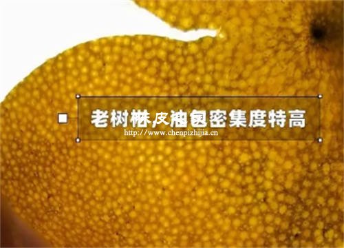 新会陈皮油包是什么样子的?油包起什么作用