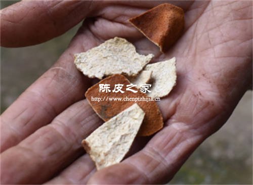 陈皮碎