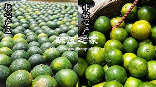 小青柑的价格是多少