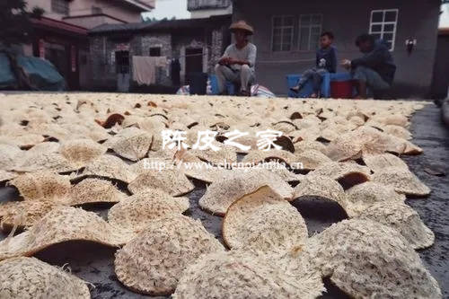 新会陈皮最适合什么人吃