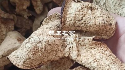 陈皮双水和天马的区别，究竟哪个产区陈皮更好