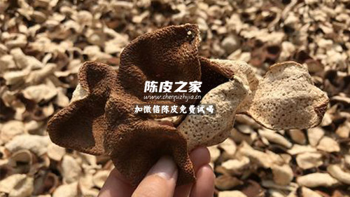 陈皮丹参一起吃有什么功效