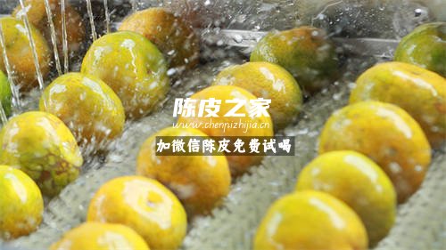 自制陈皮清洗