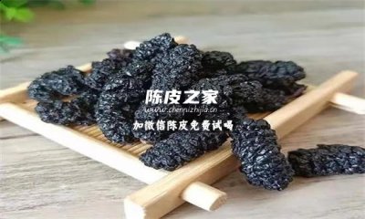 桑葚能和陈皮一起泡水喝吗？一文详细告诉你