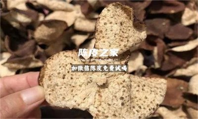 陈皮和车前草一起有什么用处