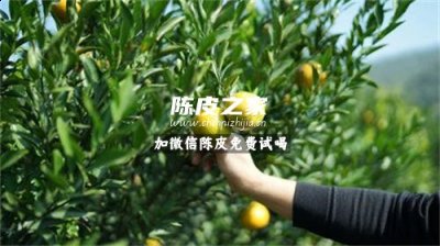 儿童用陈皮泡澡的功效是什么