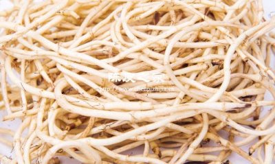 灯心草加陈皮的作用与功效