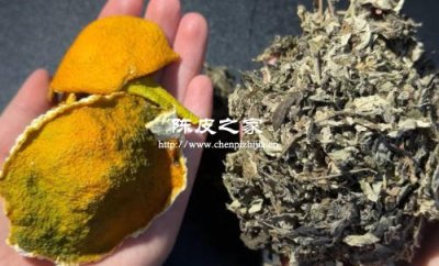 艾叶陈皮汤能治疗性病病毒吗