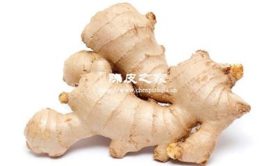 生姜陈皮不能和海鲜一起吃吗