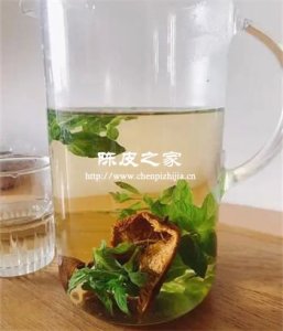 陈皮薄荷煮水要放多少水合适