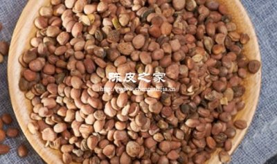 辣萝卜籽和陈皮泡水具有什么样的功效和作用