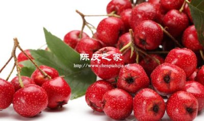 陈皮还可以和什么泡水具有什么功效