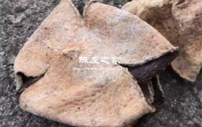 陈皮发霉了怎么办？还能吃吗？