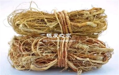 老陈皮要怎样喝对小孩子好