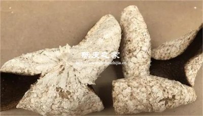 内囊脱落=年份足？陈皮的视觉陷阱