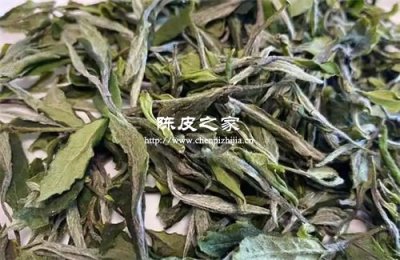 贡眉与广陈皮搭配有什么作用