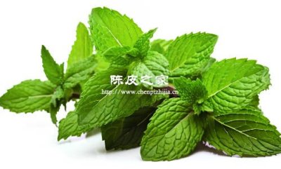 老陈皮加薄荷加冰糖一起泡水是可以的吗
