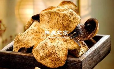 正宗陈皮吃后有辛辣味吗