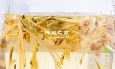 金银花和陈皮是泡水还是煮水喝