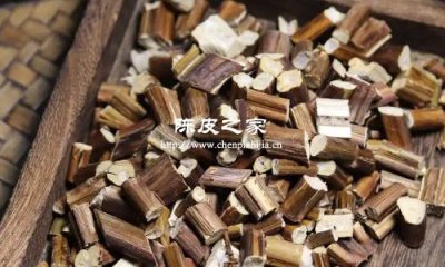 紫苏梗陈皮泡水喝的功效与作用