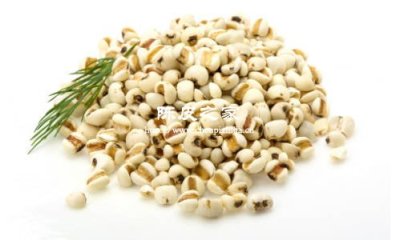 备孕能喝茯苓茶薏米陈皮水吗