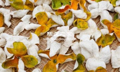 陈皮是三蒸三晒好还是生晒好