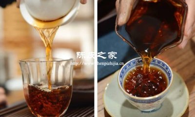 陈皮普洱怎么泡比较好喝