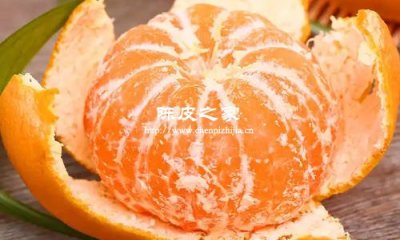 只做陈皮的果实可以吃吗