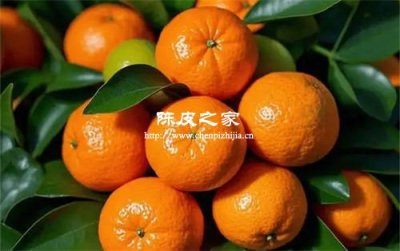 橘子皮怎么储存能制成陈皮