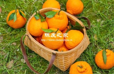 丑橘的皮可以制作陈皮吗