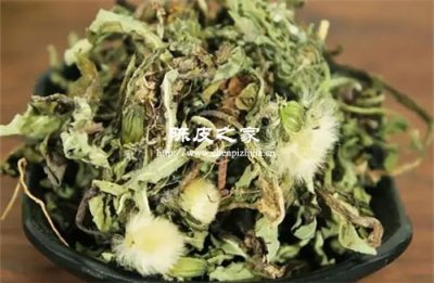 蒲公英可以和陈皮大枣泡水喝吗