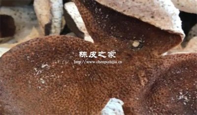 陈皮泡过后晾干皮上有白点是啥