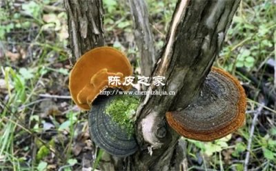 ?；朴胄禄岢缕た梢砸黄鸪月?></i>
          <h3>?；朴胄禄岢缕た梢砸黄鸪月?/h3>
          <span>25-04-16</span></a></li>
      
      </ul>
    </div>
    <div   id=