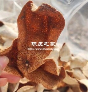 陈皮多少年份适合泡水喝