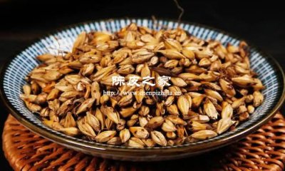 炒麦芽加陈皮泡水每天能喝吗