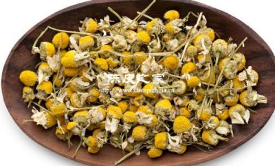 陈皮胎菊红枣一起泡水喝功效