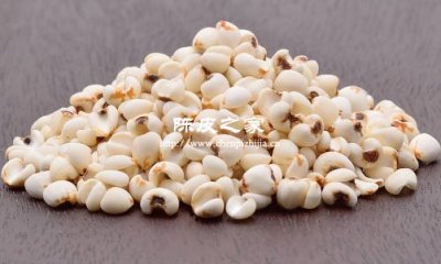 陈皮薏仁茶有什么药用效果