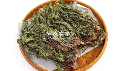 陈皮与蒲公英和玫瑰泡水喝