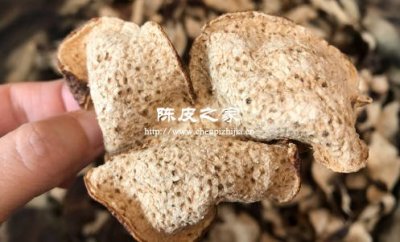 陈皮发霉了怎么办还能吃吗