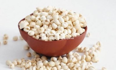 陈皮罗汉果川贝泡水的功效