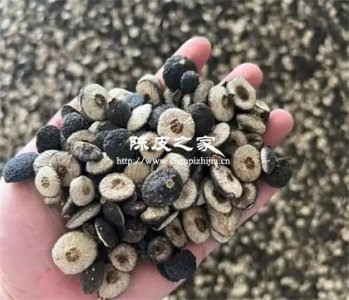 枳实和陈皮有什么功效与作用