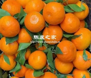 市面上较甜的柑橘皮可以做陈皮吗