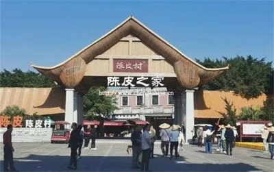 东甲陈皮和梅江陈皮的区别大吗