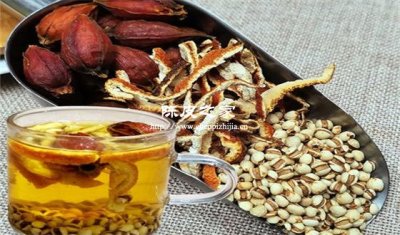 栀子陈皮薏米泡水喝有什么功效