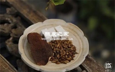 陈皮搭配什么茶一起喝去湿气最好
