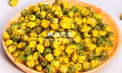 陈皮胎菊泡水喝的功效与作用