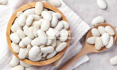 陈皮和白扁豆能一起泡水喝吗